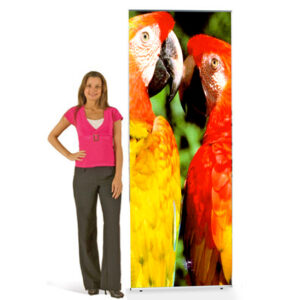 Uno Tension Banner Stand