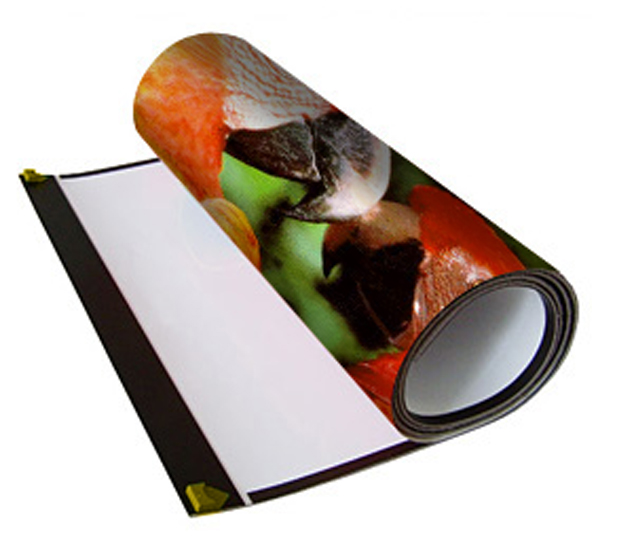 Pop up Display Replacement Panels