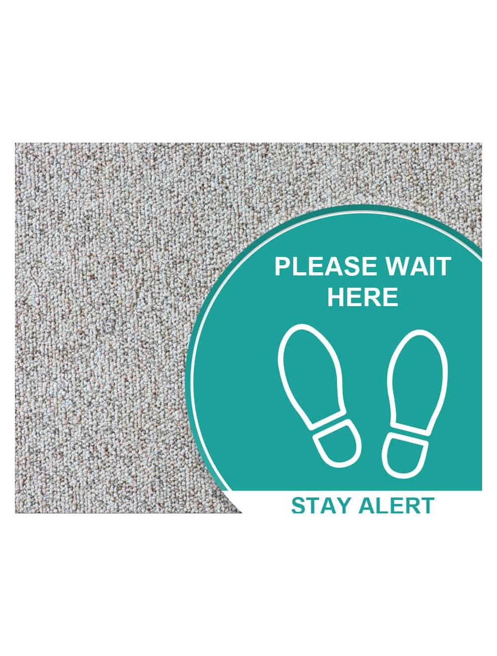 Carpet Graphics
